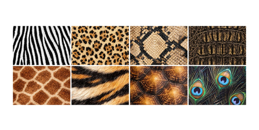 WILDNERNESS PRE-ORDER (RELEASE FEB.14)